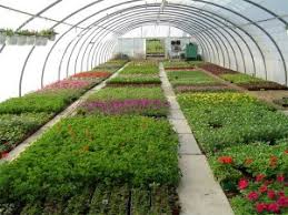 Horticulture course in Rawalpindi New Pak Technical Training Centre