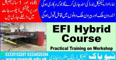 EFI Hybrid Course in Pakistan
