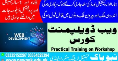 Web Development Course in Pakistan