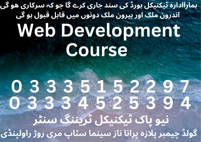 Web Development Course in Pakistan