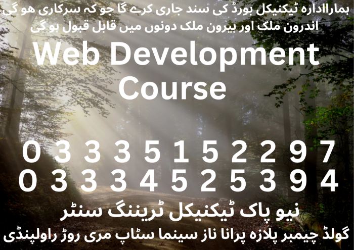 Web Development Course in Pakistan